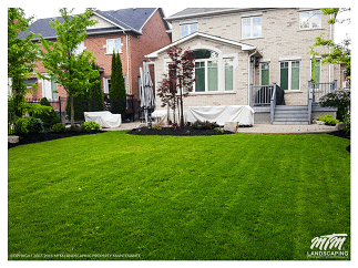 Fresh Cut Backyard Lawn