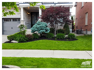 Maintained Property in Richmond Hill