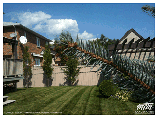 Dark Healthy Green Lawn Stripes