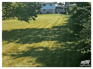 Straight Cut Stripes on Large Residental Property