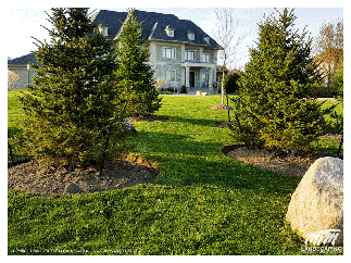Property Maintenance Bayview Country Estates Homes