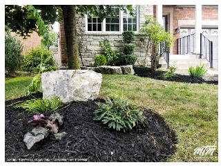 New Garden With Mulch Woodchips