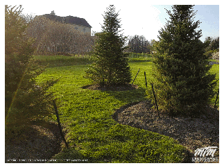 Hand-Cut Garden Bed Edging