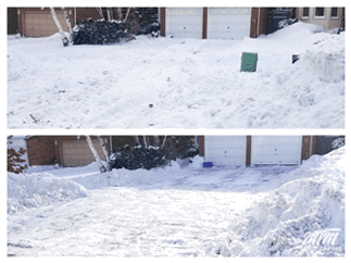 New Garden With Mulch Woodchips