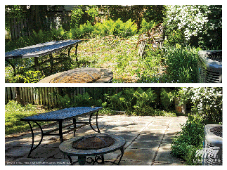Removing Fallen Branches & Overgrown Lawn