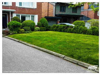 Yard Clean & Bush Trimming Toronto Home