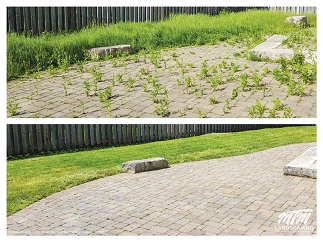 Interlock Weeds Removal & Long Grass Clean Up