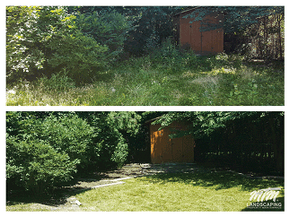 Flower Bed Weeding & Grass Cutting
