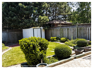 Shaping Round Boxwood Shrubs